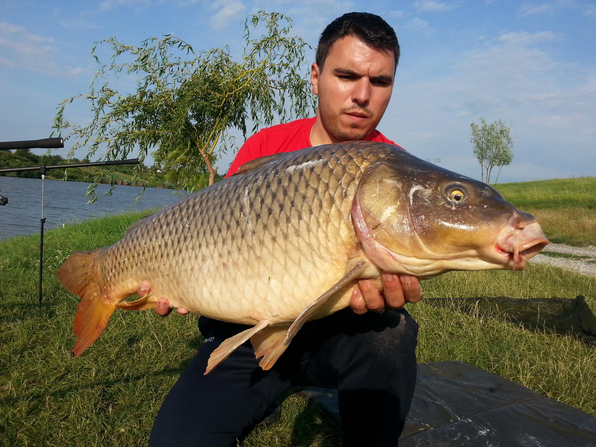 Moara Vlasiei 2 15 - 16 iulie 2014 - 20140716080925.jpg